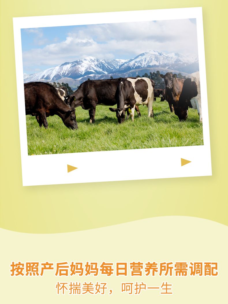曼可伊产后罐装-790_09.jpg